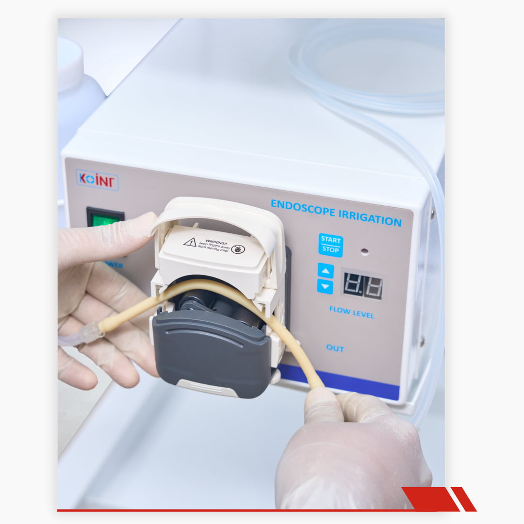 Giới thiệu koint 2